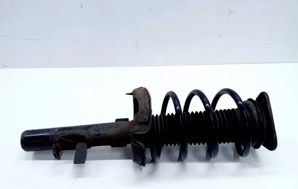 Ford C-MAX II Front shock absorber/damper AV6118045ABE