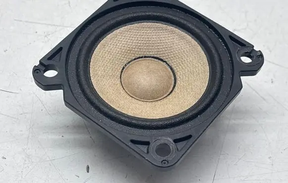 Panel speaker