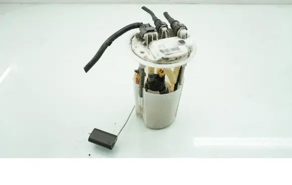 Nissan Pulsar In-tank fuel pump 0580203161