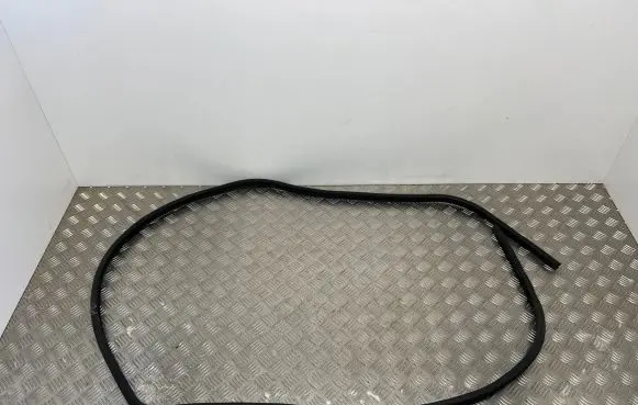 Nissan Qashqai Rubber seal front door (on door) 