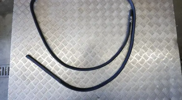 Nissan Leaf II (ZE1) Front door rubber seal