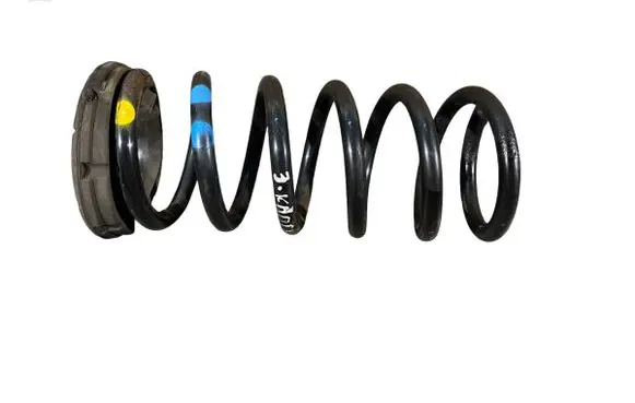 Rear coil spring