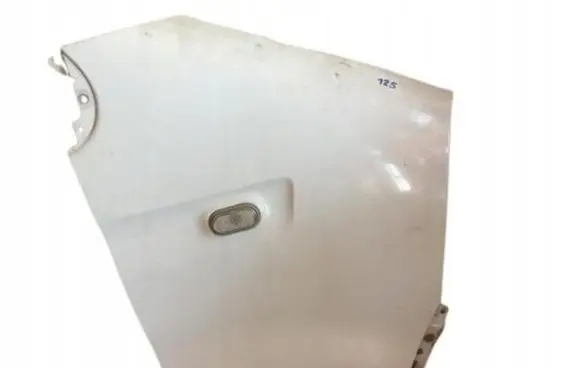 Opel Movano B Fender