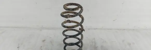 Rear coil spring