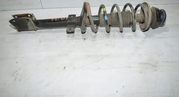 Dacia Duster Rear shock absorber with coil spring 