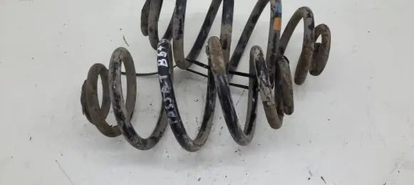 Rear coil spring