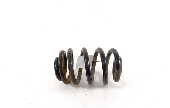 Rear coil spring