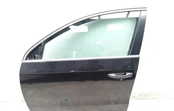 Volkswagen PASSAT B7 Front door