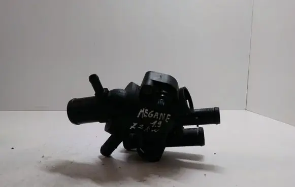 Thermostat/thermostat housing