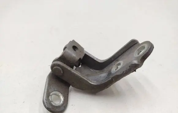 KIA Sportage Rear door lower hinge