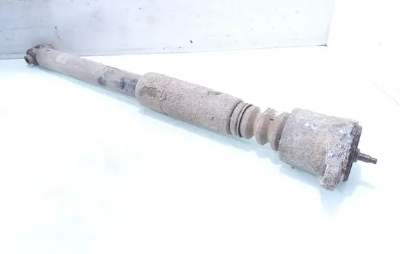 Rear shock absorber/damper
