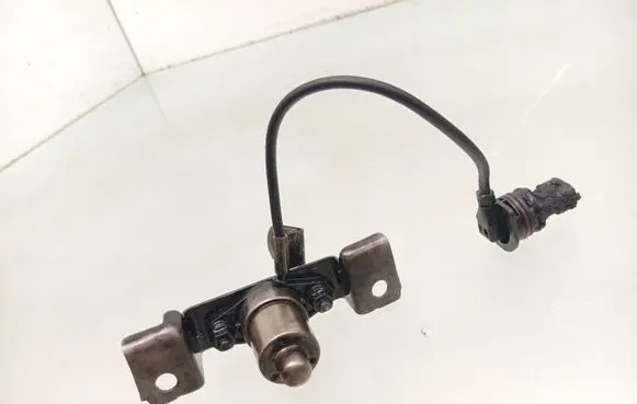 Opel Astra H Oil level sensor 8973188471