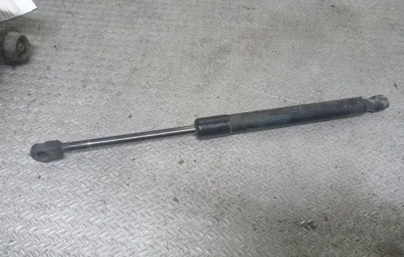 Tailgate/trunk strut/damper