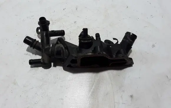 Thermostat/thermostat housing