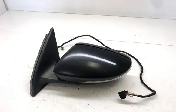 Volkswagen PASSAT B7 Front door electric wing mirror E1021005