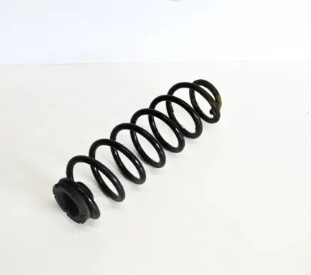 Skoda Roomster (5J) Rear coil spring