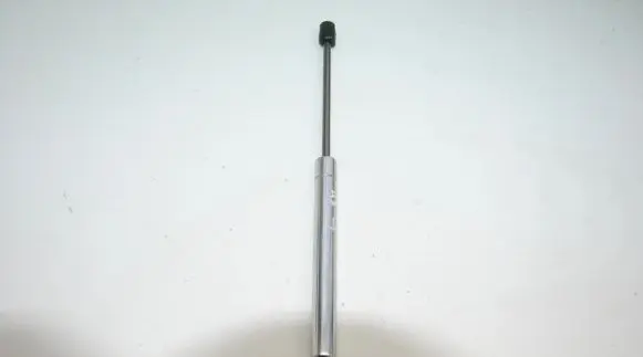 Tailgate/trunk strut/damper
