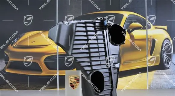 Porsche Cayenne (9PA) Air filter 95511002210
