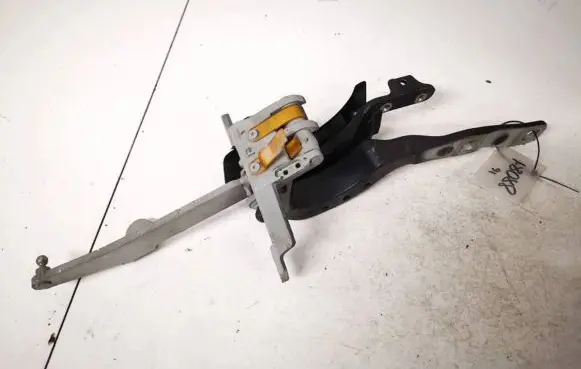 BMW 5 GT F07 Tailgate/trunk/boot hinge 7208839 17120310