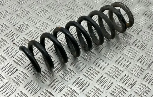 Rear coil spring