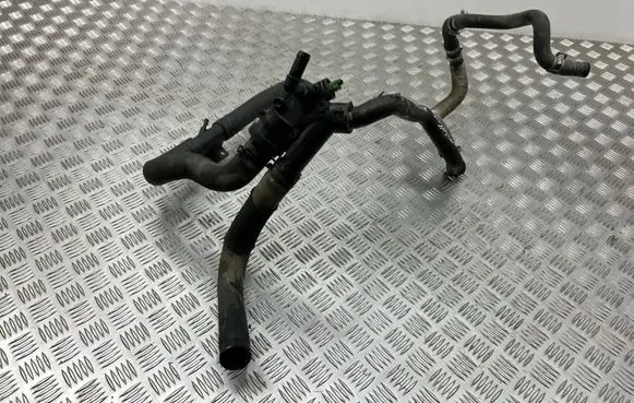 Thermostat/thermostat housing
