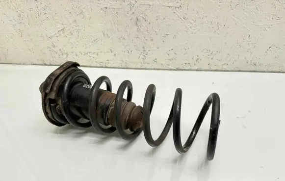 Rear coil spring