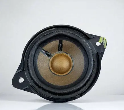 Panel speaker
