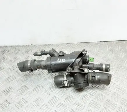 Thermostat/thermostat housing