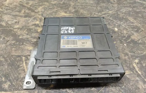 Hyundai XG Engine control unit/module 3911039945