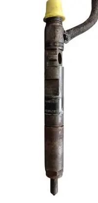 Renault Clio II Fuel injector EJBR02101Z 8200240244