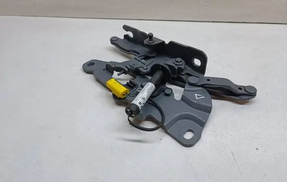 BMW 6 F12 F13 Engine bonnet/hood hinges 7249888
