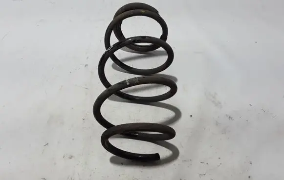 Renault Megane III Front coil spring 540100123R
