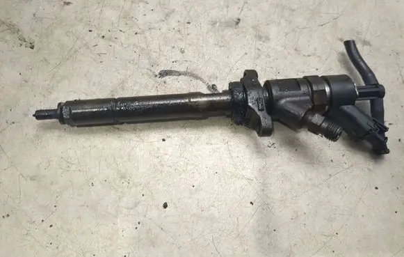 Citroen C4 II Picasso Fuel injector 0445110259