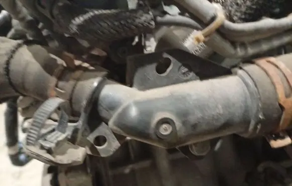 Citroen Berlingo Engine coolant pipe/hose