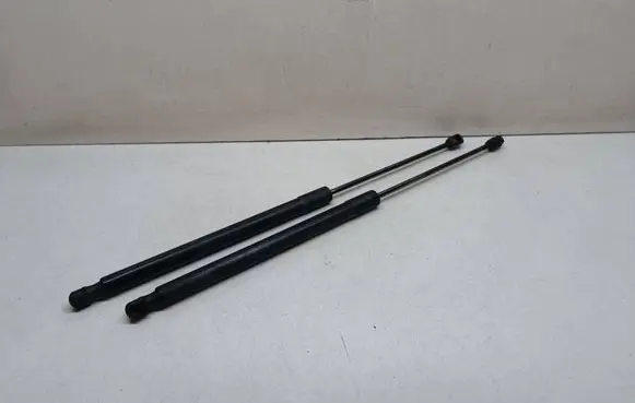 BMW X1 E84 Tailgate/trunk strut/damper 2990136