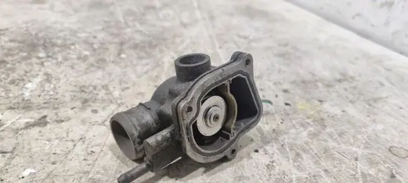 Thermostat/thermostat housing
