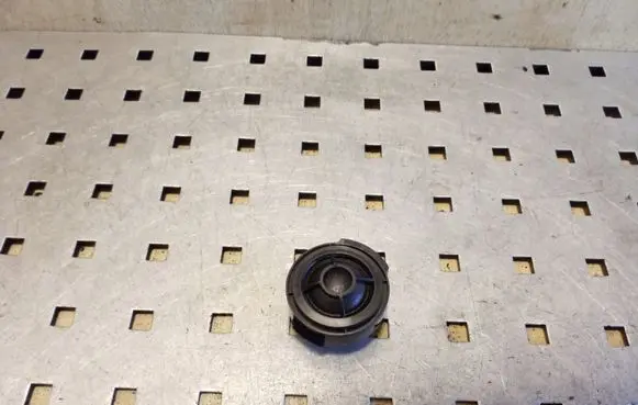 Audi A4 S4 B6 8E 8H Front door high frequency speaker