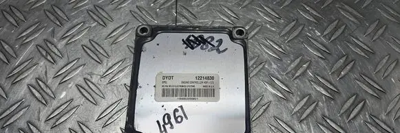 Engine control unit/module ECU