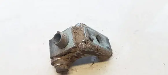 Peugeot 206 Rear door lower hinge