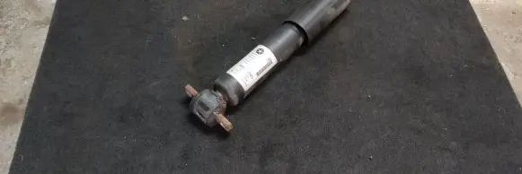 Dodge RAM 1500 DS Front shock absorber/damper 05154666