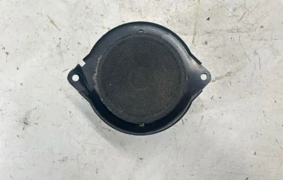 Panel speaker