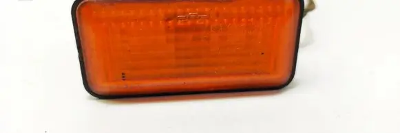 Front fender indicator light