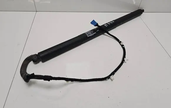 BMW X3 F25 Tailgate/trunk strut/damper 18202210 7232004