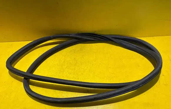 Fiat 500E Front door rubber seal 