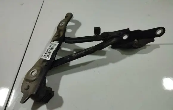Tailgate/trunk/boot hinge