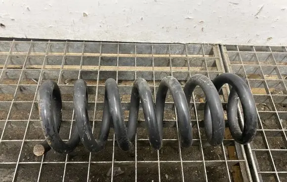 Ford Mustang VI Rear coil spring