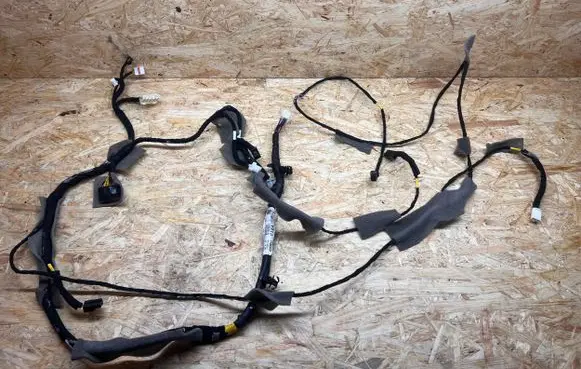 KIA EV6 Other wiring loom 91800CV130