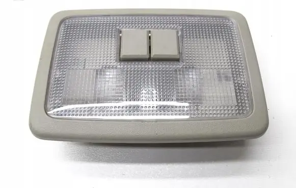 Opel Antara Headlining lighting console trim 17099360410