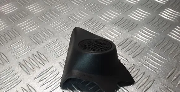 Front door high frequency speaker