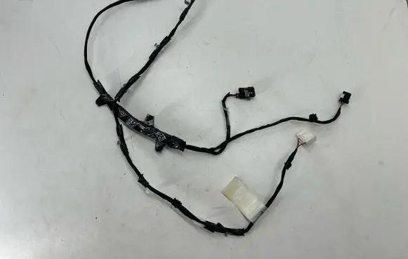 Other wiring loom